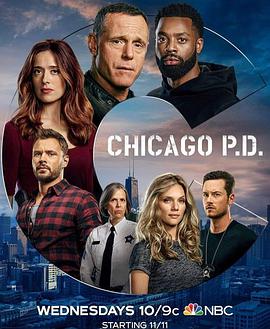 芝加哥警署第八季第11集