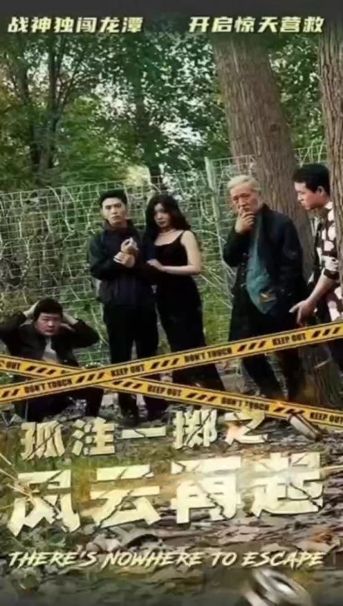 孤注一掷之风云再起1-20集