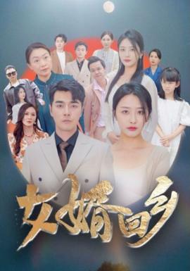 女婿回乡全集(大结局)