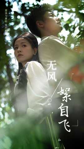 无风絮自飞全集(大结局)