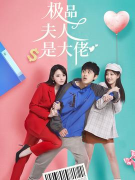 极品夫人是大佬全集(大结局)