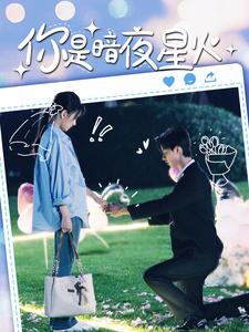 你是暗夜星火全集(大结局)
