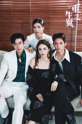 重生之翼全集(大结局)