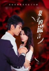 妻子的谎言全集(大结局)