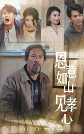 恩意如山见孝心全集(大结局)