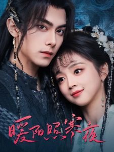 暖阳照寒夜全集(大结局)