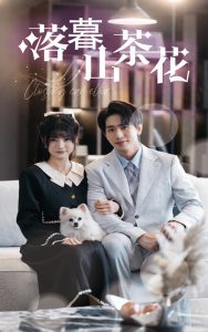 落幕山茶花全集(大结局)