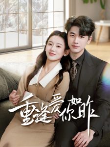 重逢爱你如昨全集(大结局)