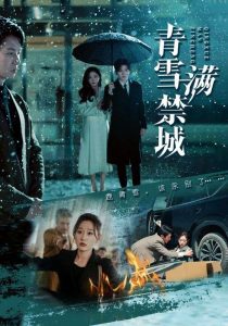 青雪满禁城全集(大结局)