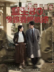 重生80，我偏要嫁纨绔(全集)