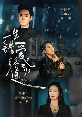 一生错爱，终无归途(全集)